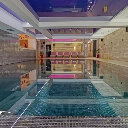 Velvet Zoned 카파오닉