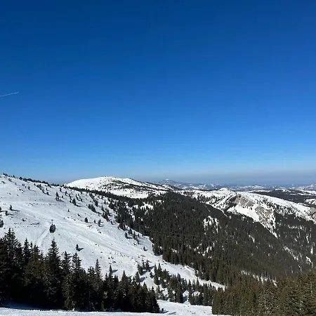 Lejlighed Velvet Zoned