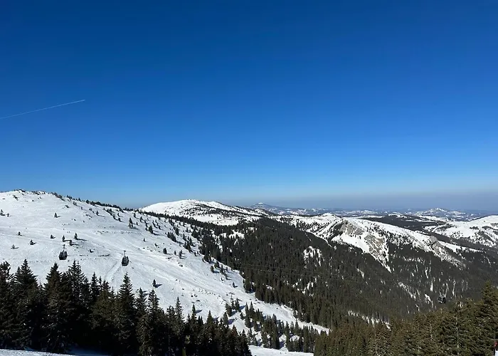 アパート Velvet Zoned